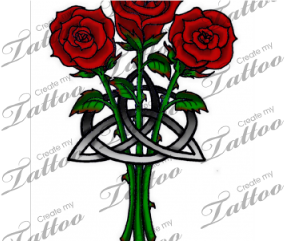 Celtic Knot Rose (640x480), Png Download