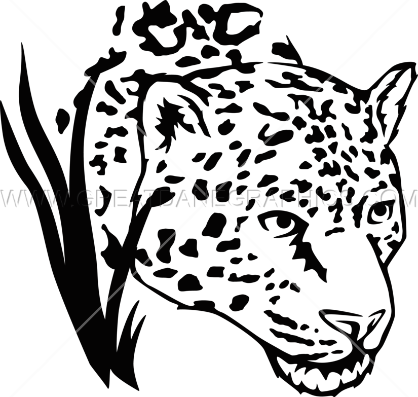 Png Black And White Head Drawing At Getdrawings Com - Black And White Jaguar Head Clipart (825x783), Png Download