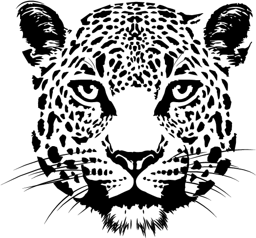 Amur Leopard Face Drawing (663x654), Png Download