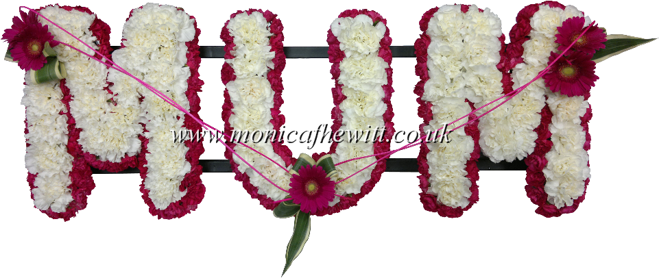 Carnation & Bordered - Mum Carnation Funeral Flowers (976x430), Png Download