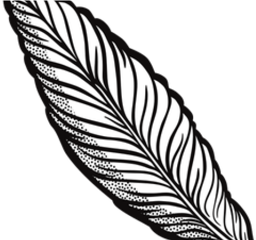 Quill Clipart Transparent Background - Transparent Feather Clipart (640x480), Png Download