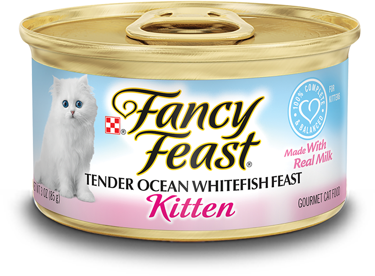 Kitten Food - Cat Grabs Treat (1000x600), Png Download