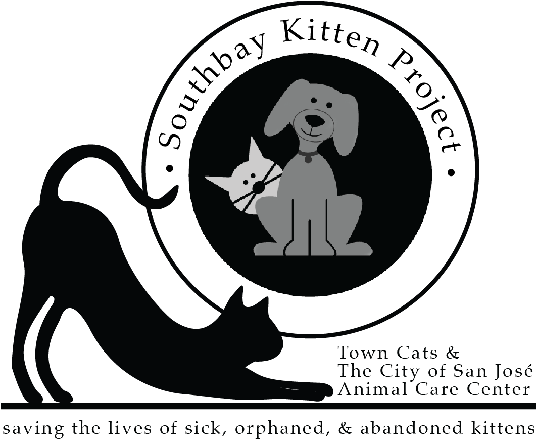 Introducing The South Bay Kitten Project - Illustration (1070x956), Png Download