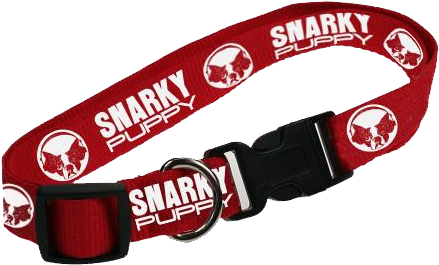 Logo Dog Collar - Strap (600x600), Png Download