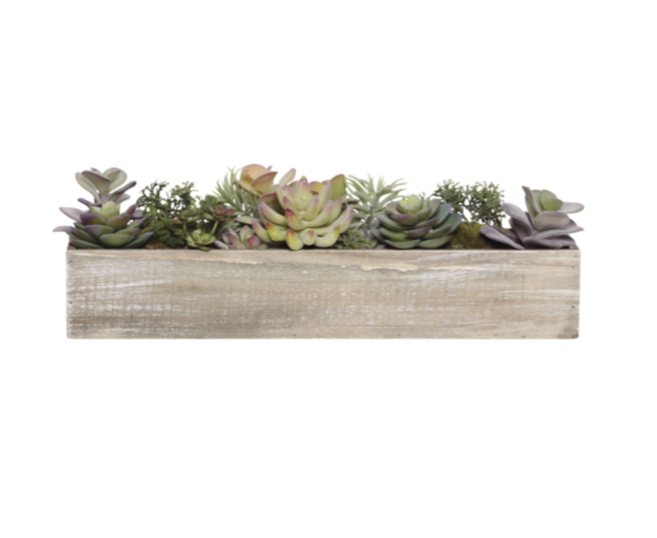 Succulent Tray - Garden Roses (1200x768), Png Download