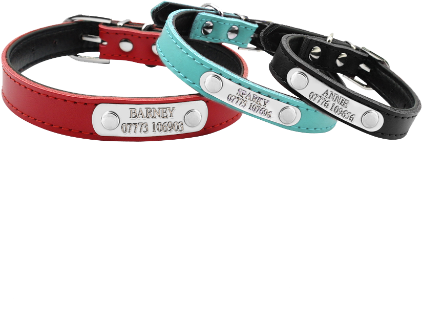 Leather Personalized Dog Collar - Collier Chat Personnalisable (1000x1000), Png Download