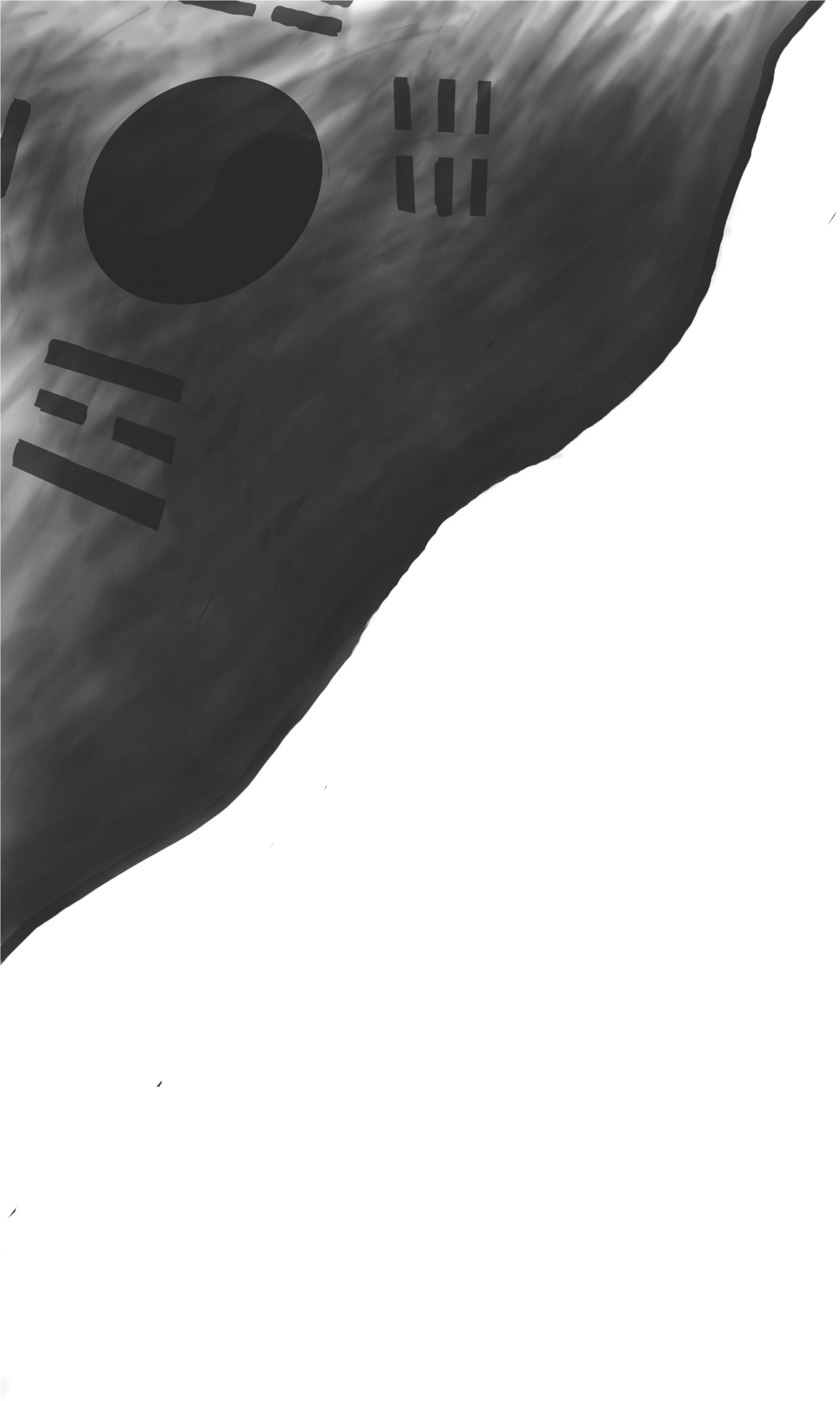 Korean Flag Copy - Airplane (3300x5100), Png Download