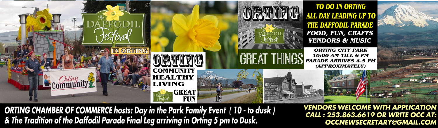 Spring Is Here Again And The Daffodil Parade Will Be - Narcissus (1500x441), Png Download