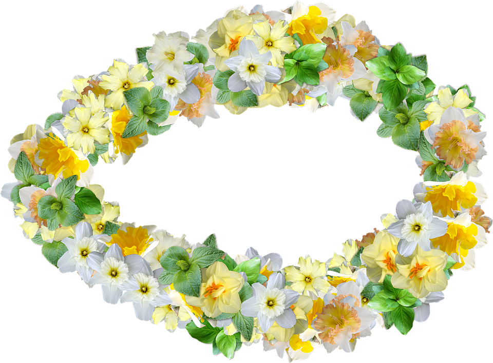 Daffodils, Flowers, Spring, Narcissus, Decoration - Sunflower (960x708), Png Download