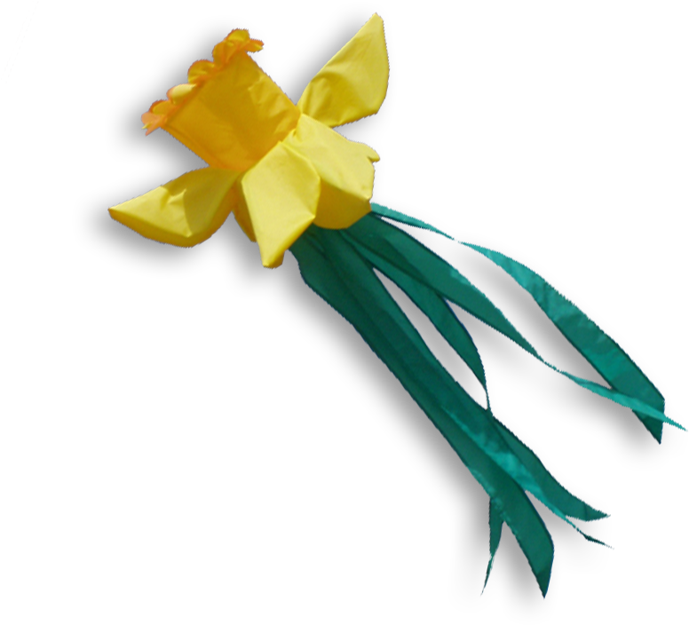 51133 Windsock Daffodil Narcis Narcisse Paasbloem - Narcissus (1000x703), Png Download