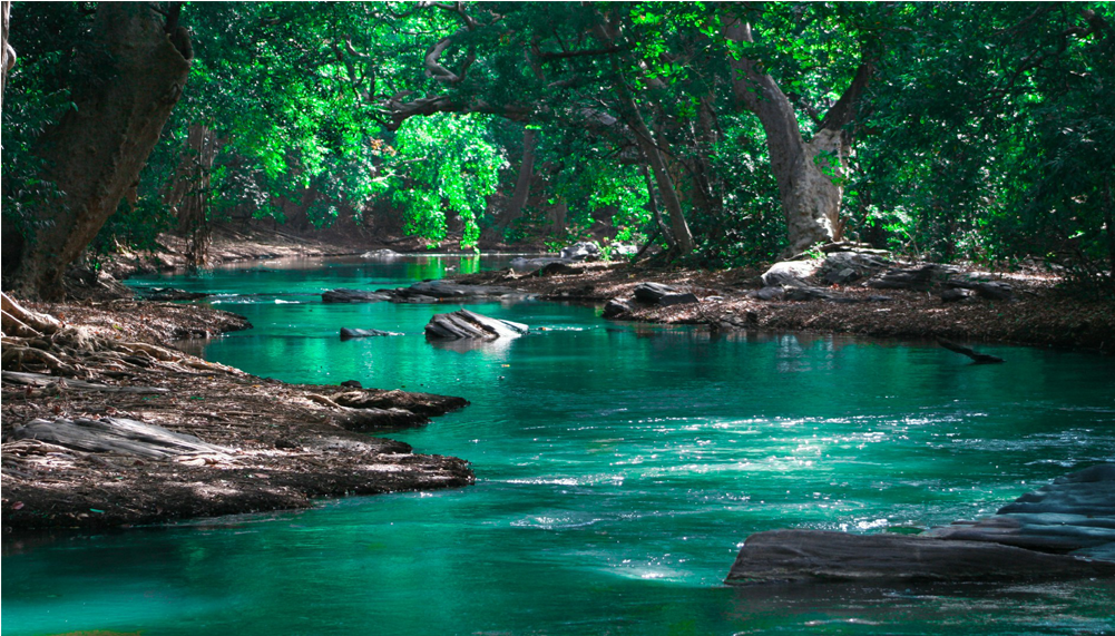 Score 50% - Environmental Issues (1000x1000), Png Download