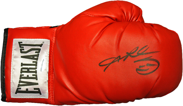 Everlast Boxing Glove - Everlast (650x665), Png Download