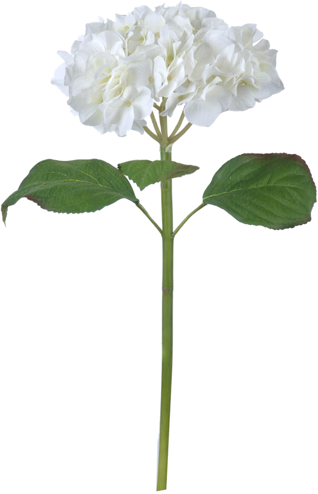 Productimage0 - Artificial Flower (644x1000), Png Download