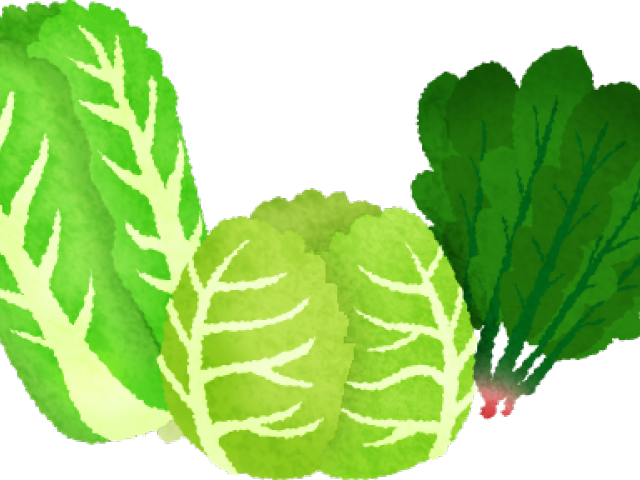 Vegetables Clipart Celery - Green Leafy Vegetables Clipart (640x480), Png Download