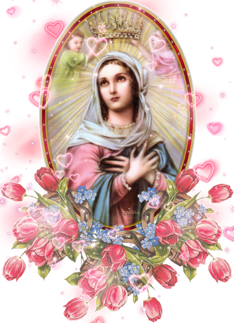 Beata Vergine Maria Regina 22 Agosto (480x662), Png Download