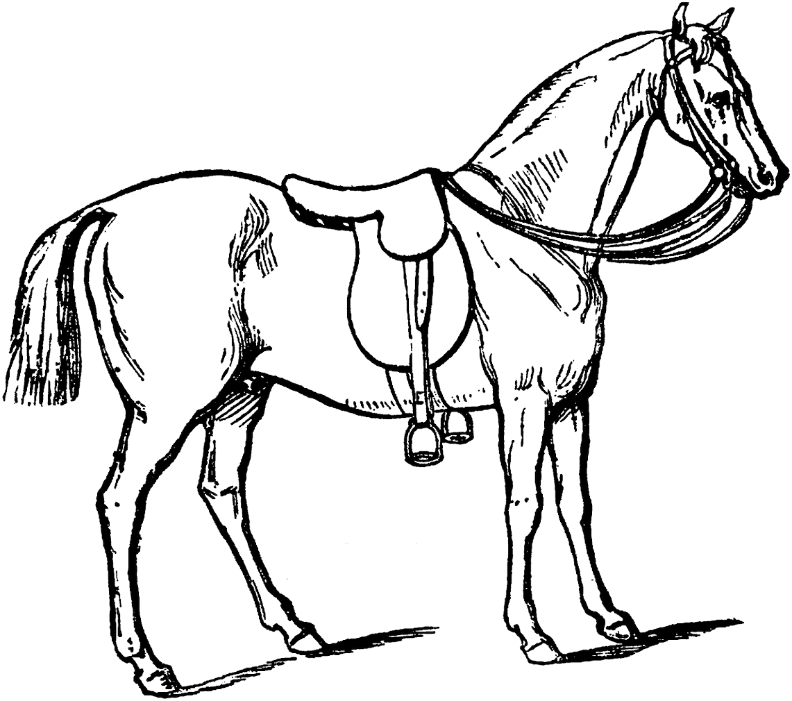 Carolyn Iott On Twitter - Horse Drawing With Gear (1141x1010), Png Download