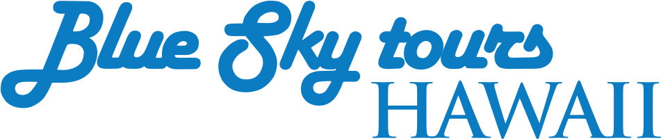 Blue Sky Tours Logo (950x700), Png Download