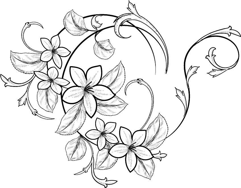 Antler Clipart Flower Drawing - Line Art (896x661), Png Download