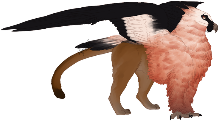 Mjölnir - Cockatoo (736x428), Png Download