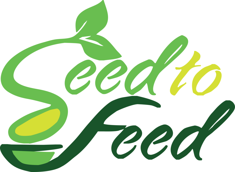 Stf Vector - Seed (1000x731), Png Download