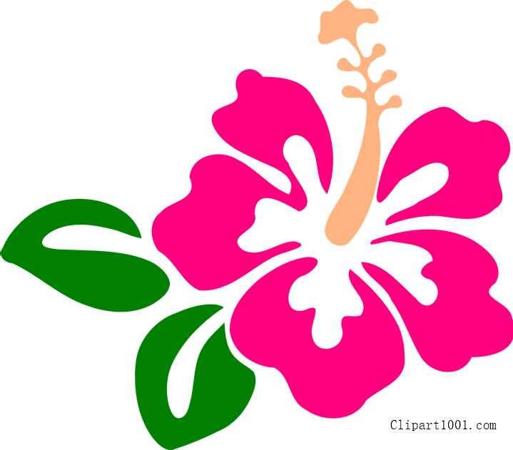 Download - Hibiscus Clip Art (719x631), Png Download