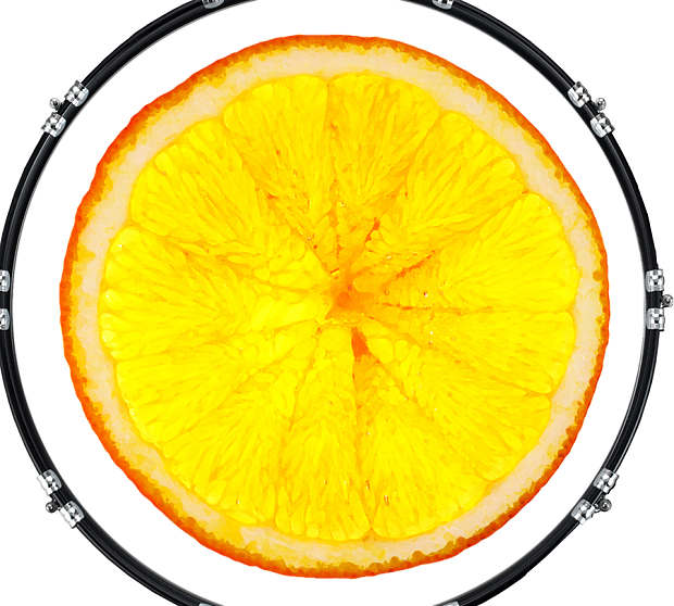 Animal Black Panther Front (620x558), Png Download