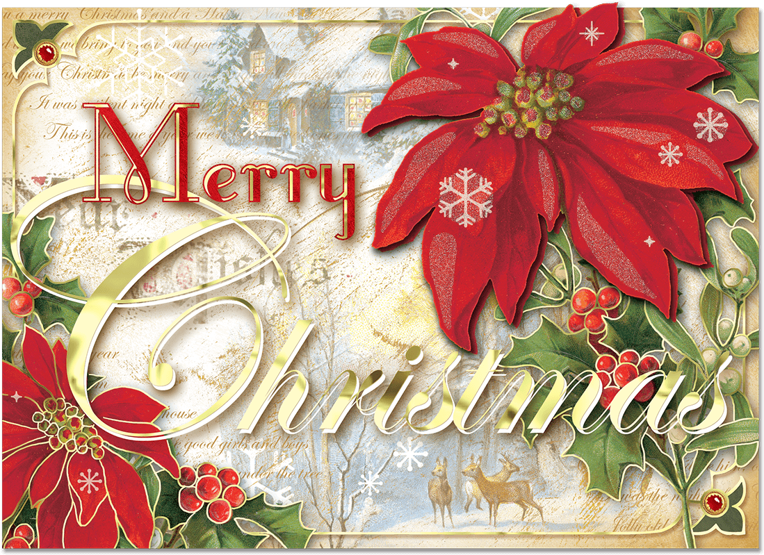 Poinsettia Design Christmas Cards (1200x1200), Png Download