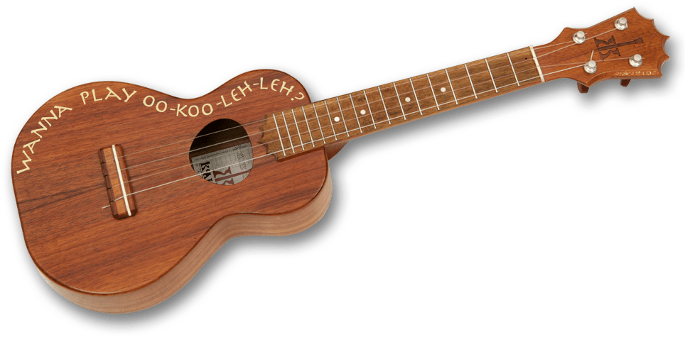 Ukulele Instrument - Bass Guitar (969x527), Png Download