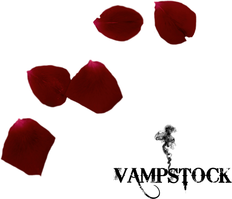 Background V - Rose Petals Transparent Png Falling (894x894), Png Download