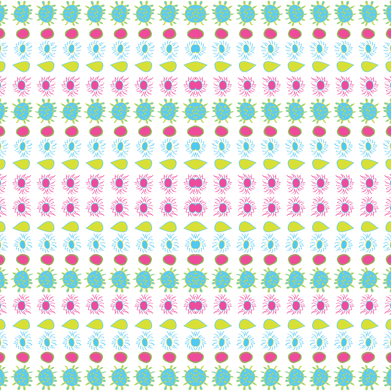 Sopa De Letras Del Ciclo Celular (800x800), Png Download