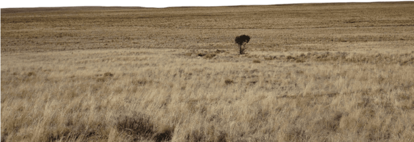 Free Png Dirt Road Png Png Image With Transparent Background - Grassland (850x567), Png Download
