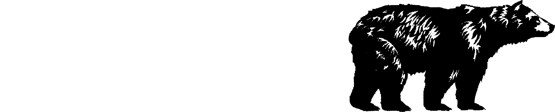 Copyright © 2019 Black Bear - Illustration (2415x633), Png Download