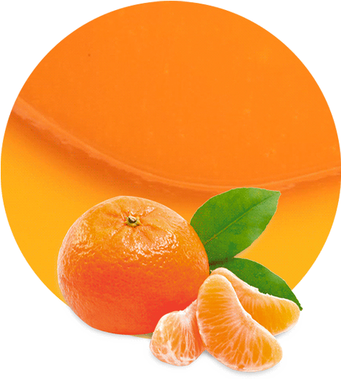 Mandarin Concentrate - Tangerines Png (536x595), Png Download