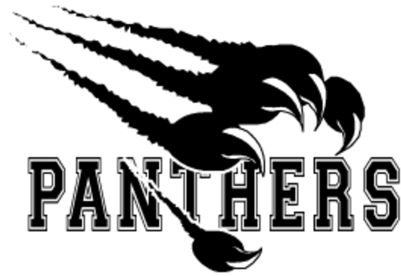 Carolina Panthers Thonon Black Panthers American Football - Graphic Design (800x592), Png Download