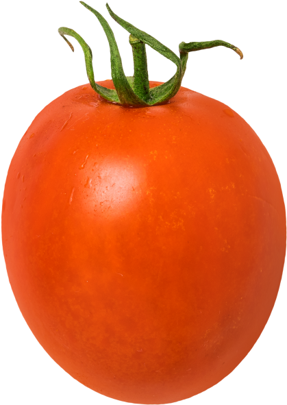 Tomato - Plum Tomato (866x650), Png Download