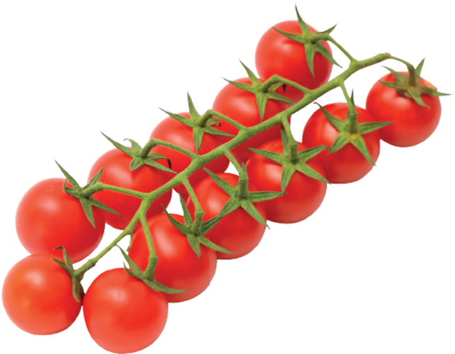 Vittoria Tomatoes Home Eng - Cherry Tomatoes (768x711), Png Download