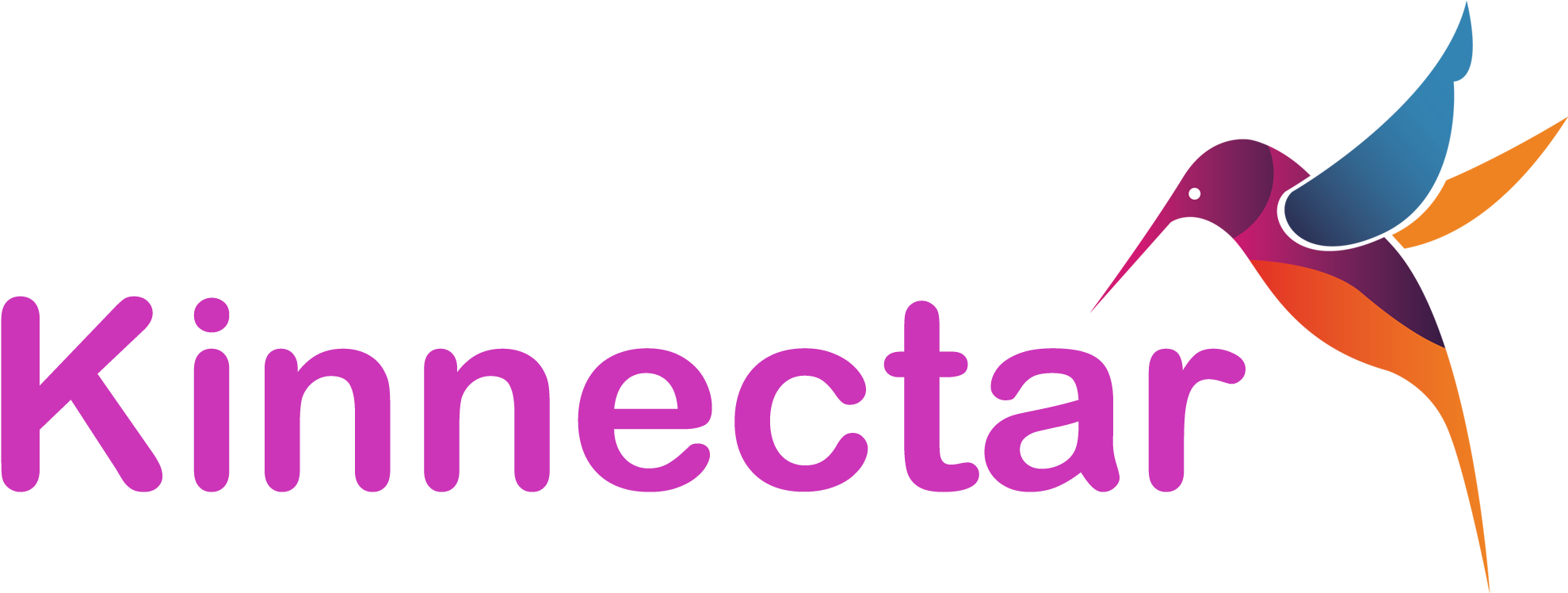 Blog Kinnectar - Hummingbird (2890x1194), Png Download