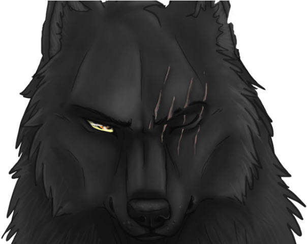 Drawn Black Cat Black Wolf - Black Wolf (640x480), Png Download