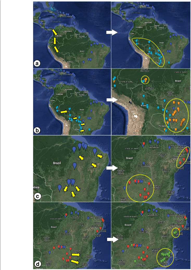 Dispersion Processes Of Nasutitermes Corniger In South - Atlas (850x1036), Png Download
