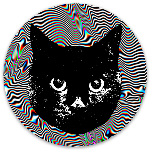 Darla Trippy - Cat Glitch (597x597), Png Download