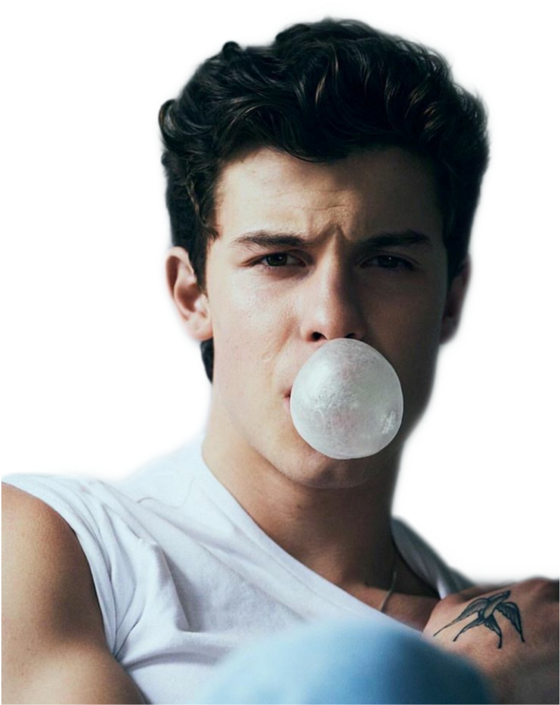 Shawnmendes Sticker - Shawn Mendes (1024x1024), Png Download