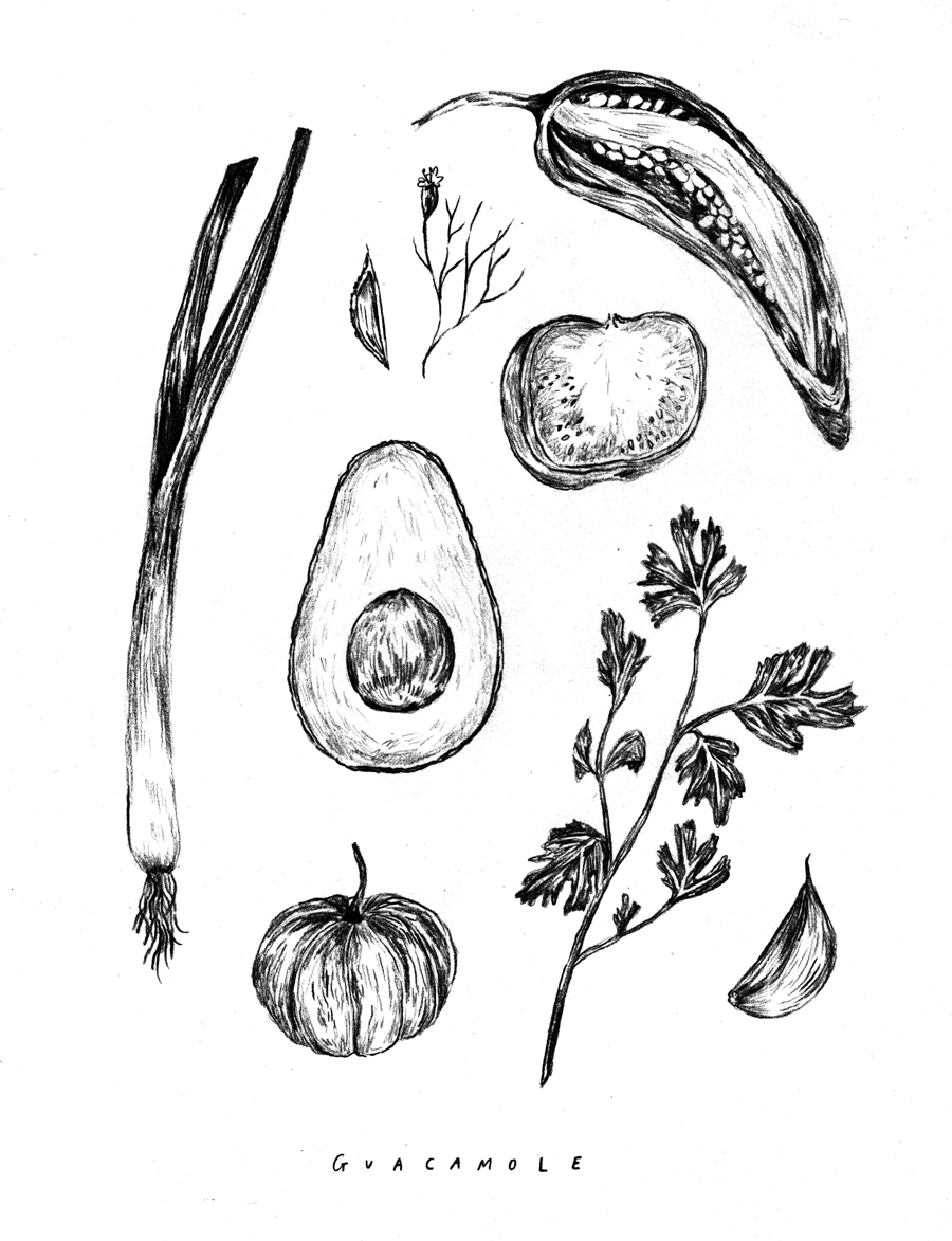 Guacamole - Sketch (900x1173), Png Download