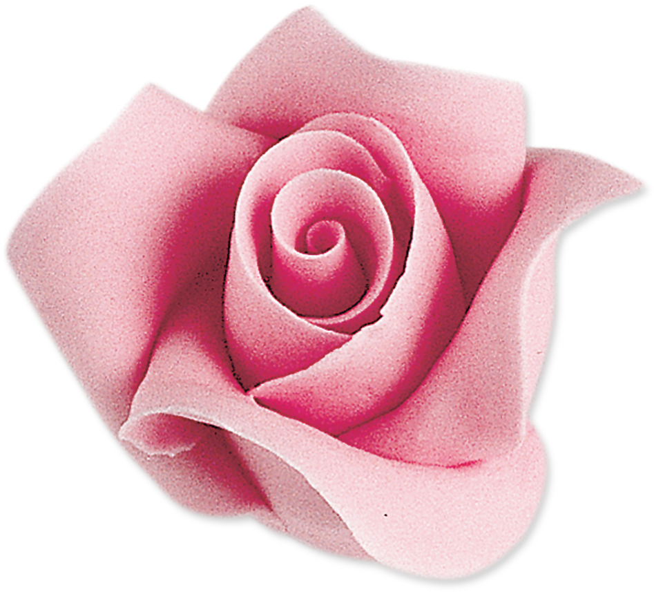 Rose Rosa Png (1500x1500), Png Download