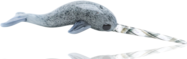 Collection - Humpback Whale (800x800), Png Download