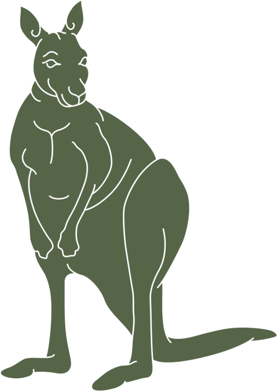 Kangaroo (1000x1000), Png Download