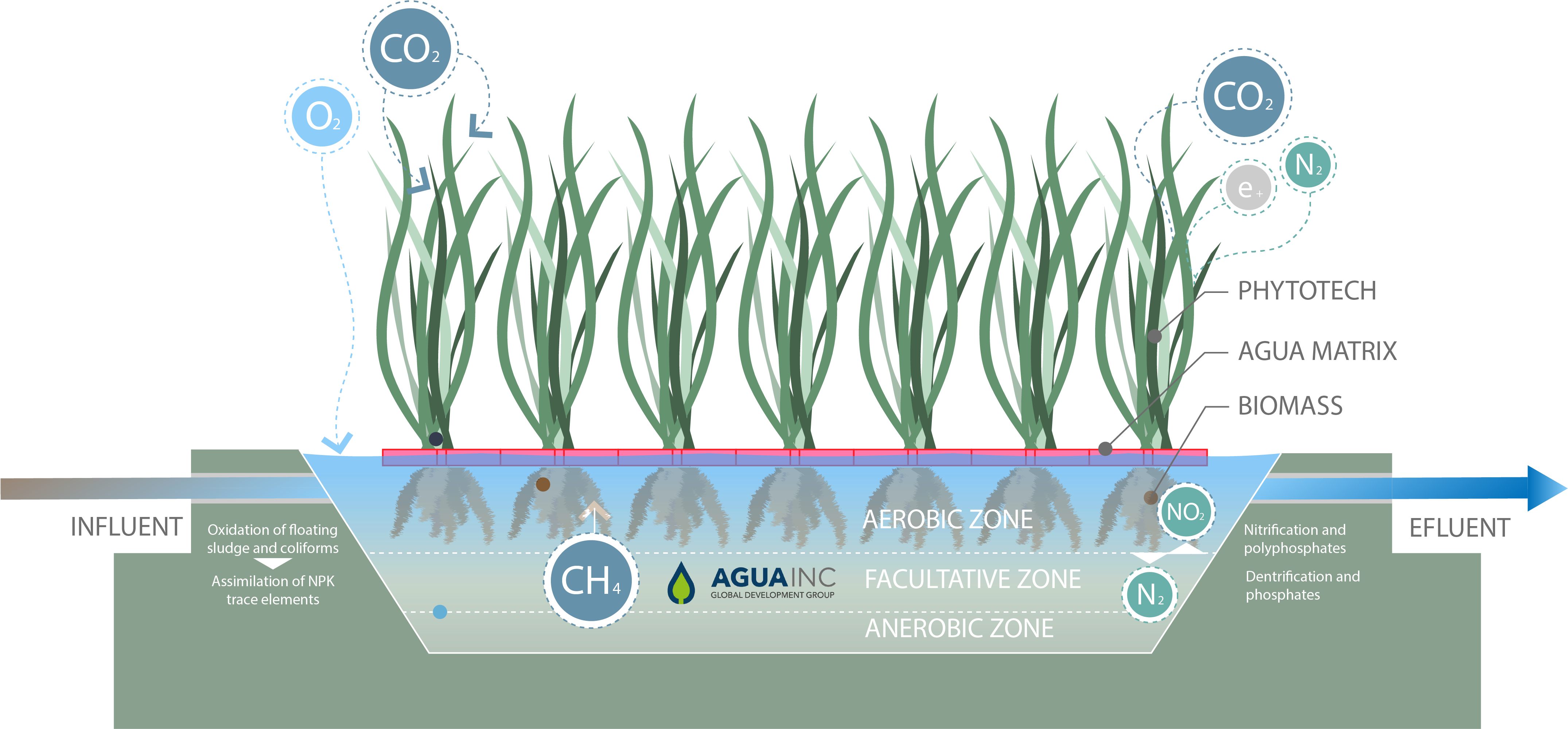 Agua Inc Graphics - Diagram (4687x2758), Png Download