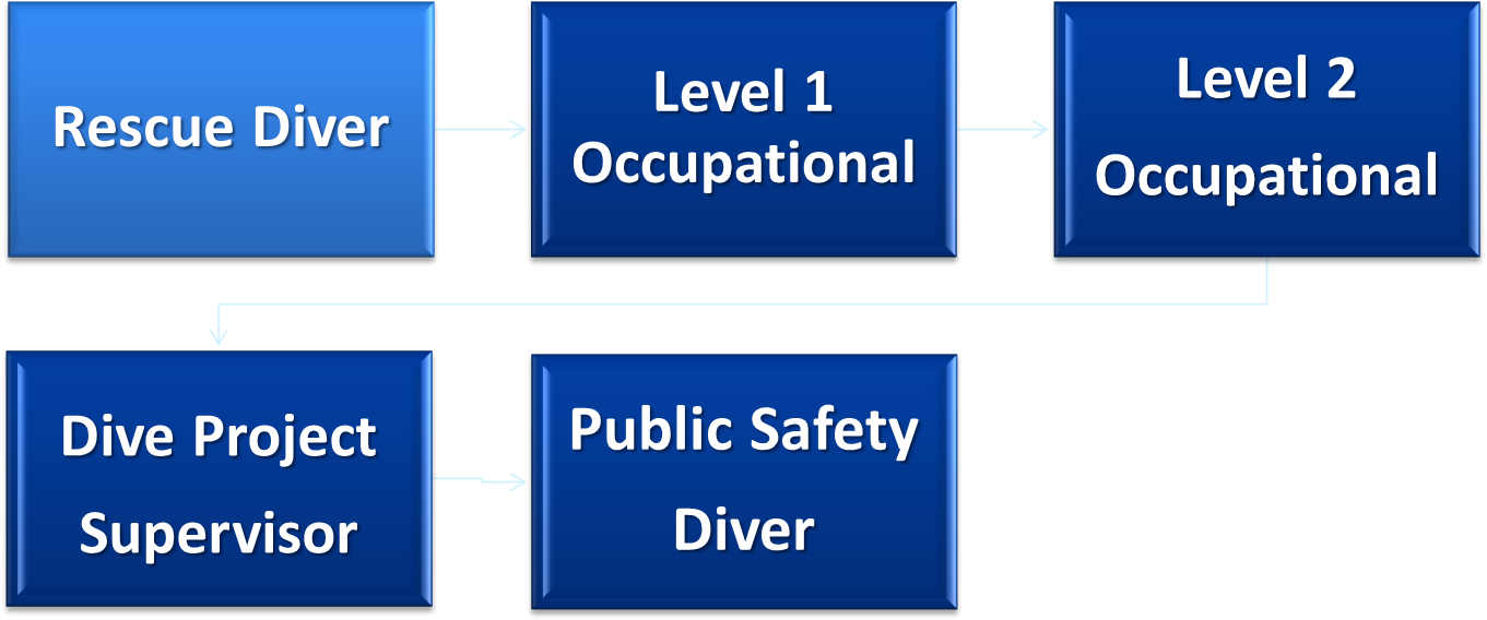 Sports To Occupational Chart - Graphic Design (1371x667), Png Download