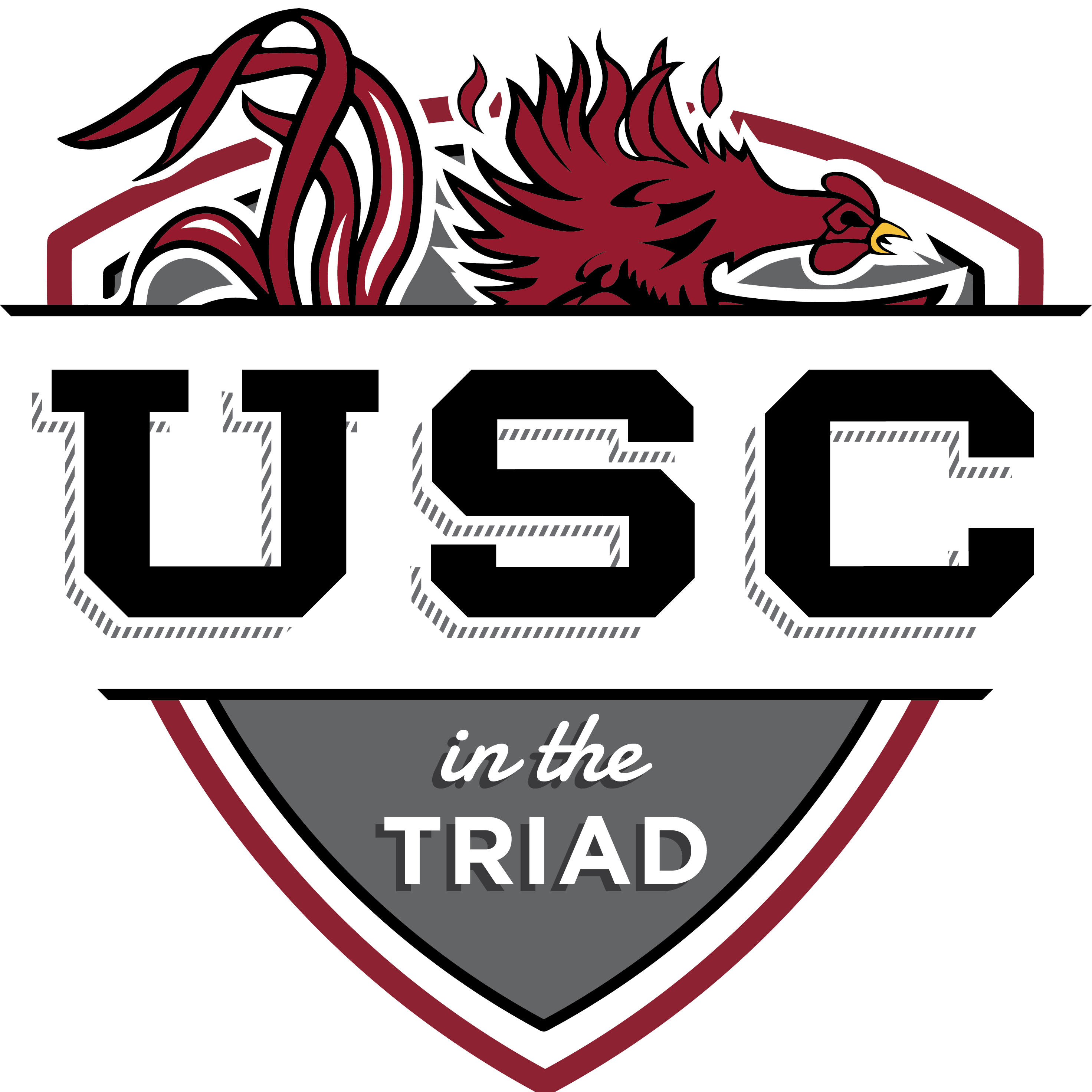 Usc In The Triad - University Of South Carolina (2943x2943), Png Download