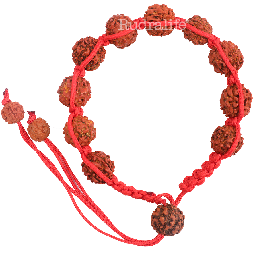 Panchmukhi-rudraksha - Pulseras De Hilo Png (1000x1000), Png Download