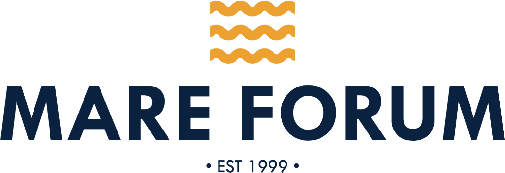 5th Mare Forum Singapore - Parallel (1129x420), Png Download